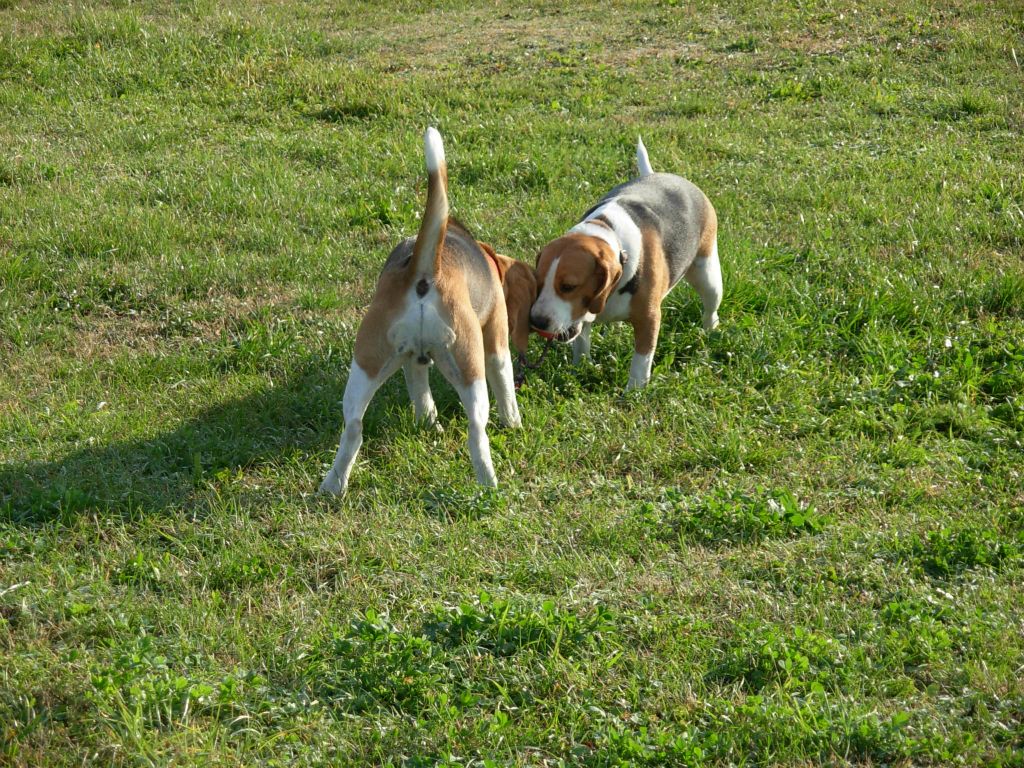 Teo e Nike